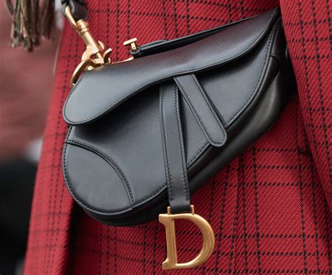 dior saddle bag男|The Dior Saddle Bag Is Back: Here’s What You Need to Know.